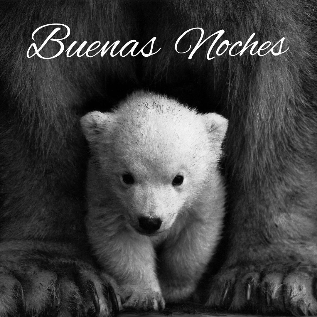 Im Genes De Buenas Noches Tiernas Mensajes Y Saludos Gratis