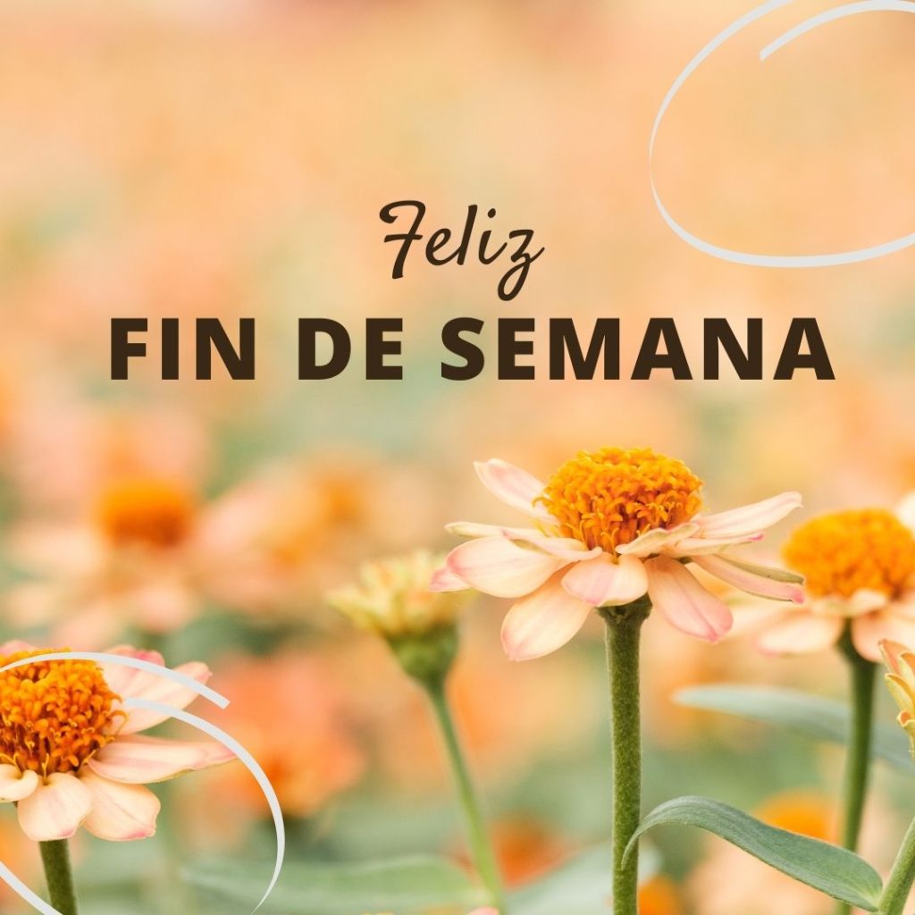 Feliz Fin De Semana Para Whatsapp Feliz Finde Gratis 6070